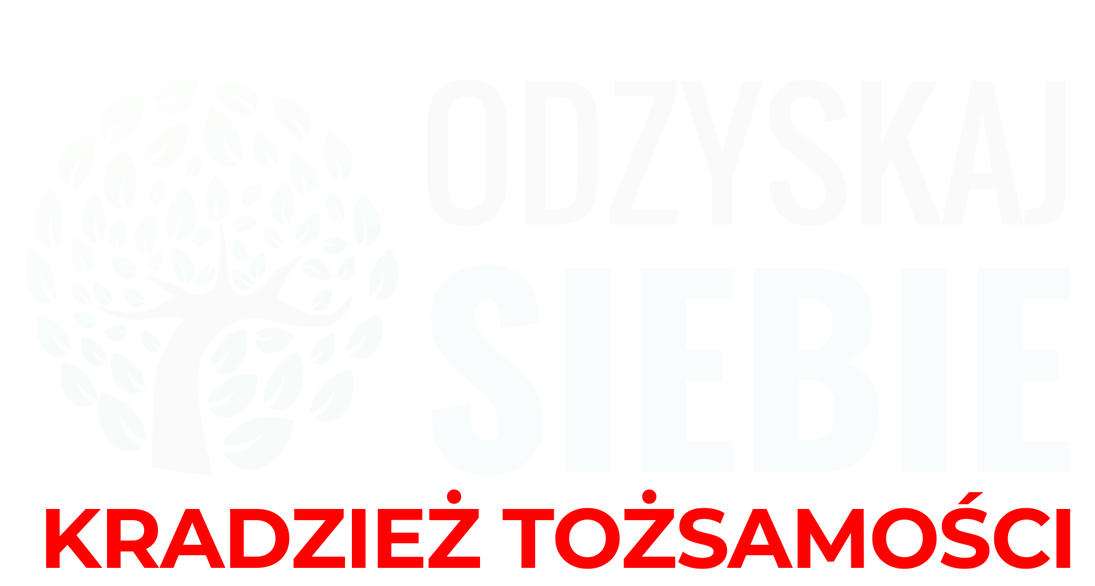 Odzyskaj Siebie — Kradzież Tożsamości